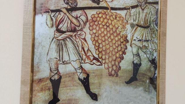 Muzej vina Zlatna kruna na Oplencu