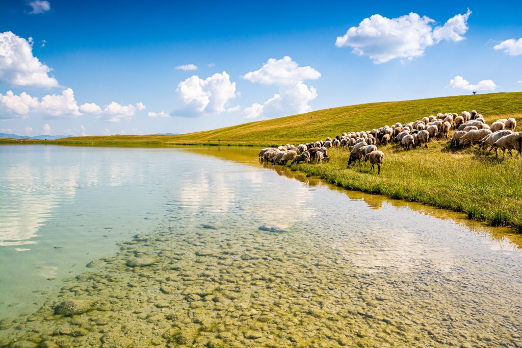 Vražje jezero Durmitor Žabljak