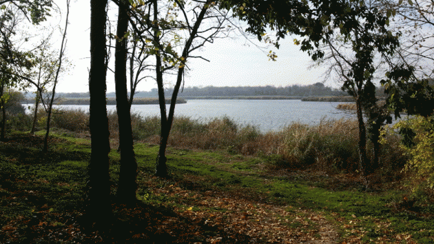 Zobnatičko jezero kod Bačke Topole
